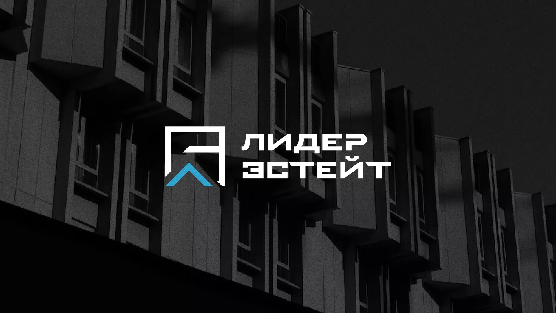 Разработка логотипа агентства недвижимости «Лидер Эстейт» в Кувандыке